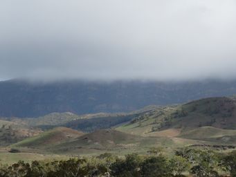 341_range_greener_img_3984.jpg