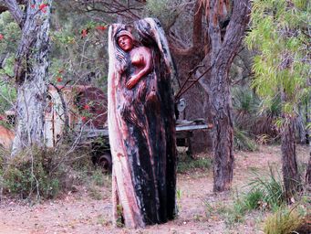 341_sleepy_forest_img_1191c.jpg