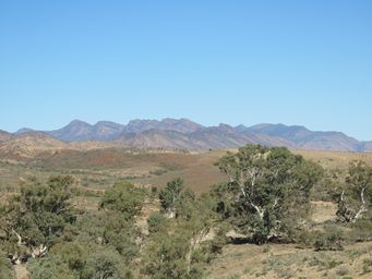 341_to_wilpena_img_3779.jpg
