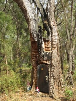 341_tree_house_img_1228c.jpg
