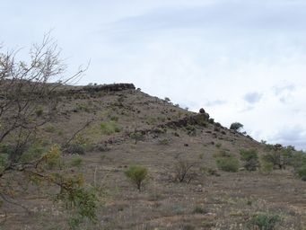 341_trezona_dsc03947.jpg