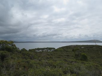 341_two_peoples_bay_walk_img_1263.jpg