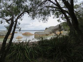 341_two_peoples_bay_walk_img_1269s.jpg