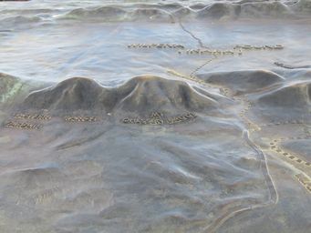 341_wilpena_3d_img_3943c.jpg