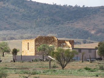 341_wilson_ruin_img_4019.jpg