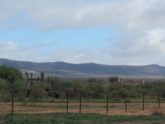341_wilson_ruins_img_4018.jpg