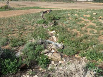 341_wilson_water_trough_img_4025.jpg