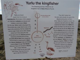 341_yurlu_the_kingfisher_img_3947c.jpg