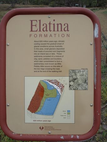 455_elatina_dsc03953.jpg