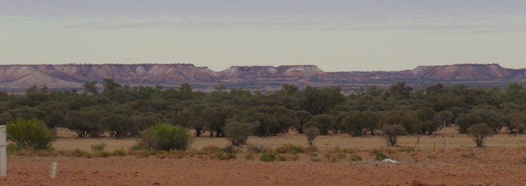 750_banner_painted_desert_from_campground_img_2745c.jpg