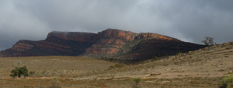 750_banner_wilpena_from_south_img_3979.jpg