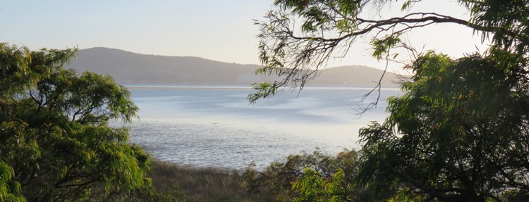 750xbanner_albany_img_1106s.jpg