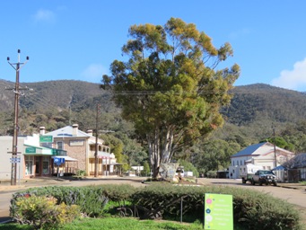 341_melrose_town_centre_img_4149.jpg