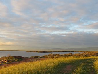 341_port_pirie_img_4237.jpg
