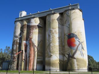 341_wirrabara_silo_art_img_4161.jpg