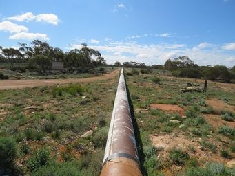 341_kalgoorlie_pipeline_woolgangie_img_0244.jpg