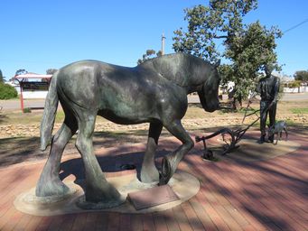 341_pioneer_park_merredin_img_9070.jpg