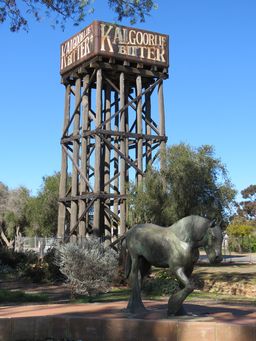 341_pioneer_park_merredin_img_9172.jpg