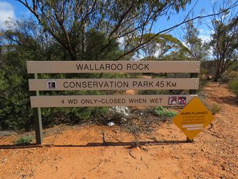 341_wallaroo_img_0214s.jpg