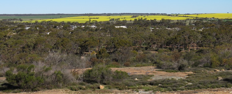 750_banner_merredin_rock_img_9225.jpg