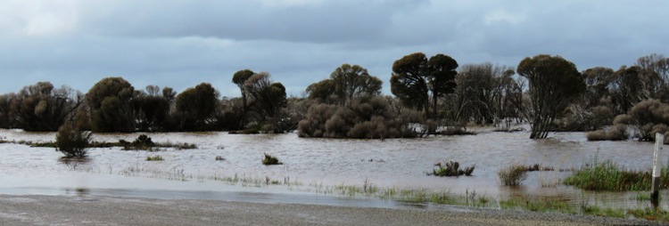 750_banner_water_flowing_over_road_north_of_lake_grace_img_8273_ac.jpg