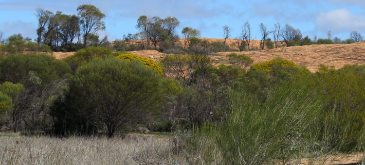 750_banner_woolgangie_railway_dam_img_0251ca.jpg