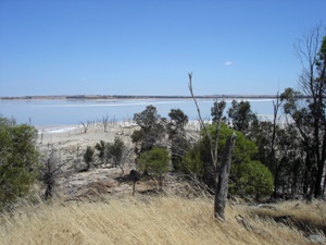tn_lakedumbelyung2.jpg