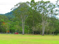 tn_mullumbimbymtchincogan.jpg