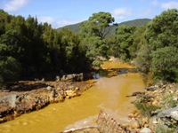 tn_queenrivertas.jpg