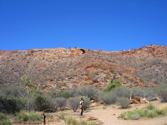 341_desert_park_raptor_dsc00387ca.jpg