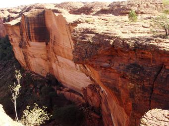 341_kings_canyon_dsc01334ca.jpg