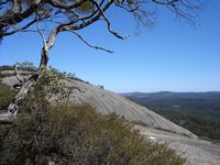 tn_baldrocknatpark.jpg
