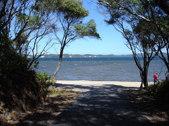 tn_coalmine_beach_dsc09384.jpg