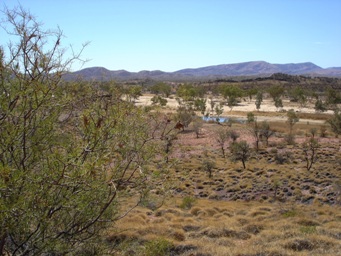 tn_finkemtsonderdsc01066.jpg