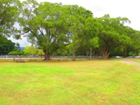 tn_mullumbimbyshowgr2.jpg
