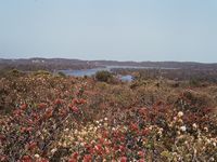 tn_oldfieldestuarymunglinupcampgr.jpg