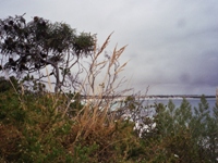 tn_orleansbay.jpg