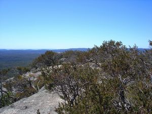 tn_q33baldrock.jpg