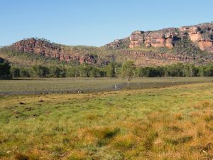 tn_q33kakadu.jpg