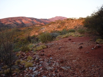 tn_redbankridgedsc01083.jpg