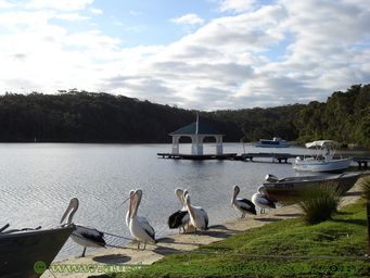 tn_restpointdsc09747s.jpg