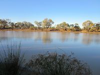 200_noccundra_img_5170.jpg