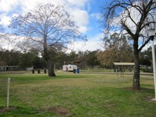 227_wellington_caves_cp_img_5570.jpg