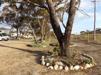 341xsalmon_gums_cp_dscf8020.jpg