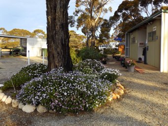 341xsalmon_gums_dscf8024.jpg