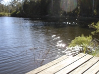 tn_200xboonoo_boonoo_platypus_pool__dsc06393.jpg