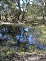 tn_girraweenduckpond.jpg