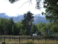 tn_gowriepark.jpg