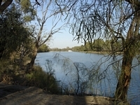 tn_loxton.jpg
