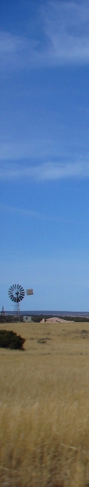 tn_penongwindmill.jpg
